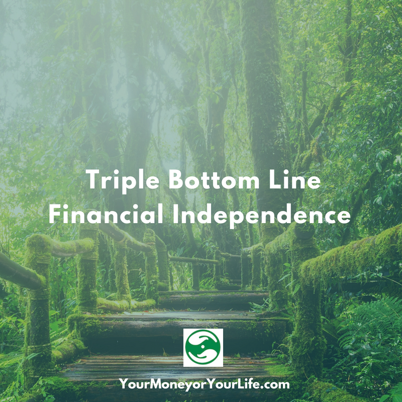 Triple Bottom Line Financial Independence